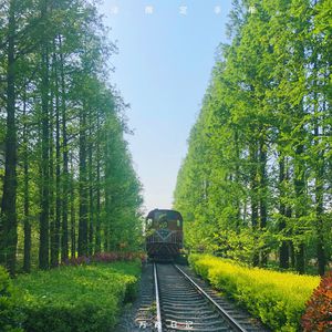 12孩岁女精品裸体
